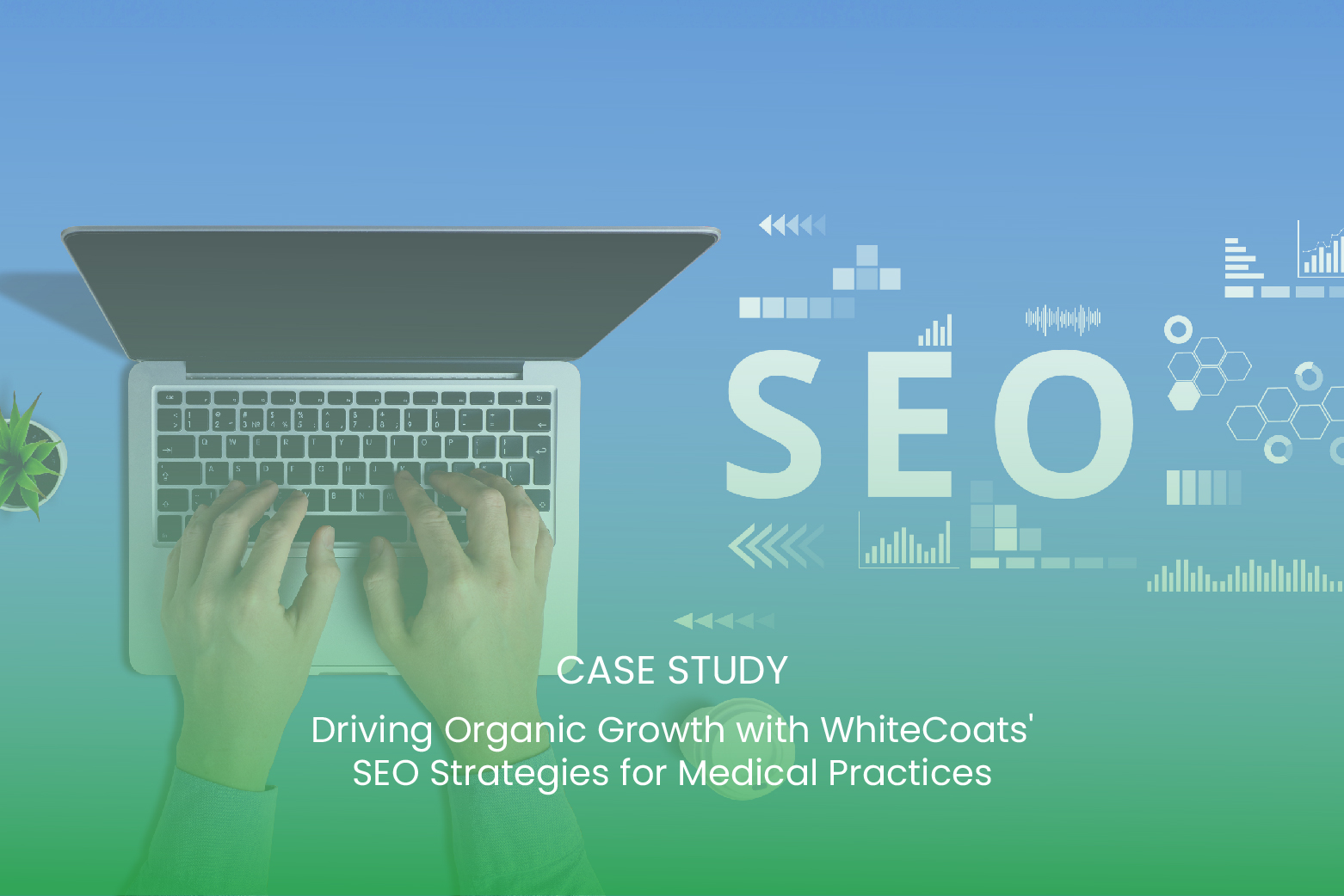 WhiteCoats SEO Strategies Helped Medical Practices